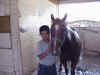 Horse05.jpg (72059 bytes)