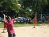 Volleyball019.jpg (72231 bytes)